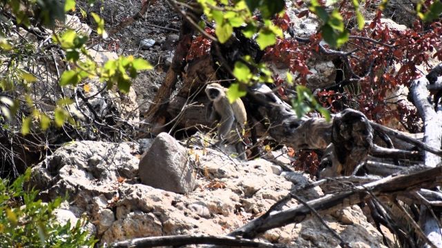 Hiking Namibia, Ruacana